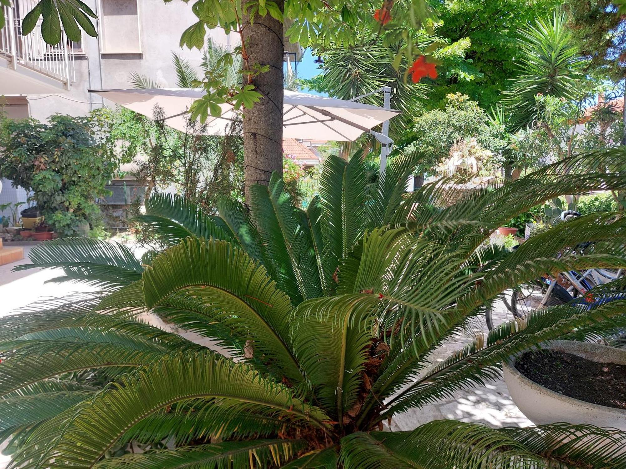 سان بنيديتّو ديل ترونتو B&B La Fontanella المظهر الخارجي الصورة